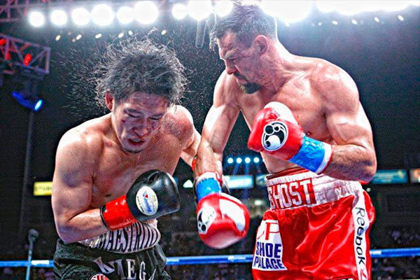 Highest Viewed TV Fighter