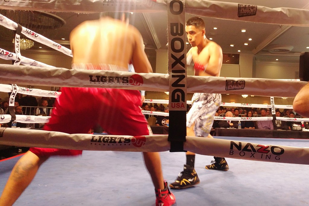 Bash Boxing