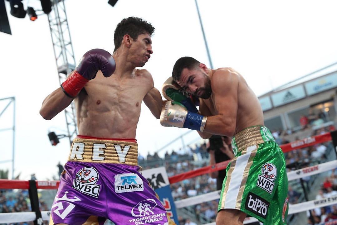Fight Night
