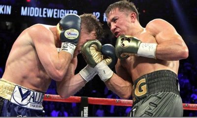 boxing buffs