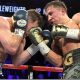 boxing buffs