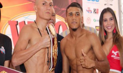 WBO