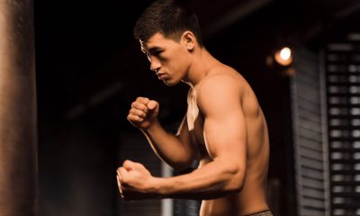 Bivol