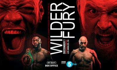 Wilder - Fury