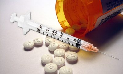 USADA, VADA & State Athletic Commissions