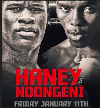 Fight Odds Haney and more