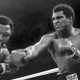 must-see tv fighters