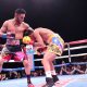 boxing Cancio