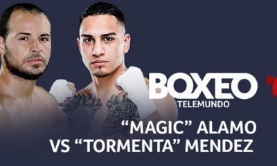 boxing odds