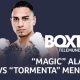 boxing odds