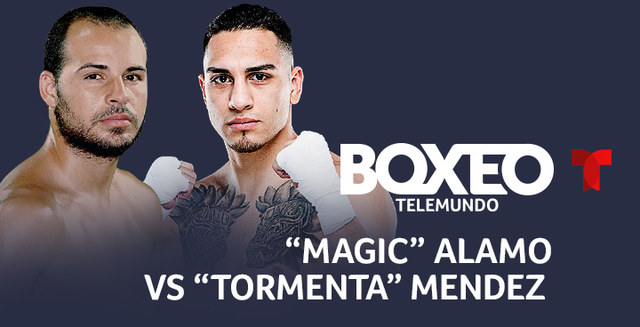 boxing odds