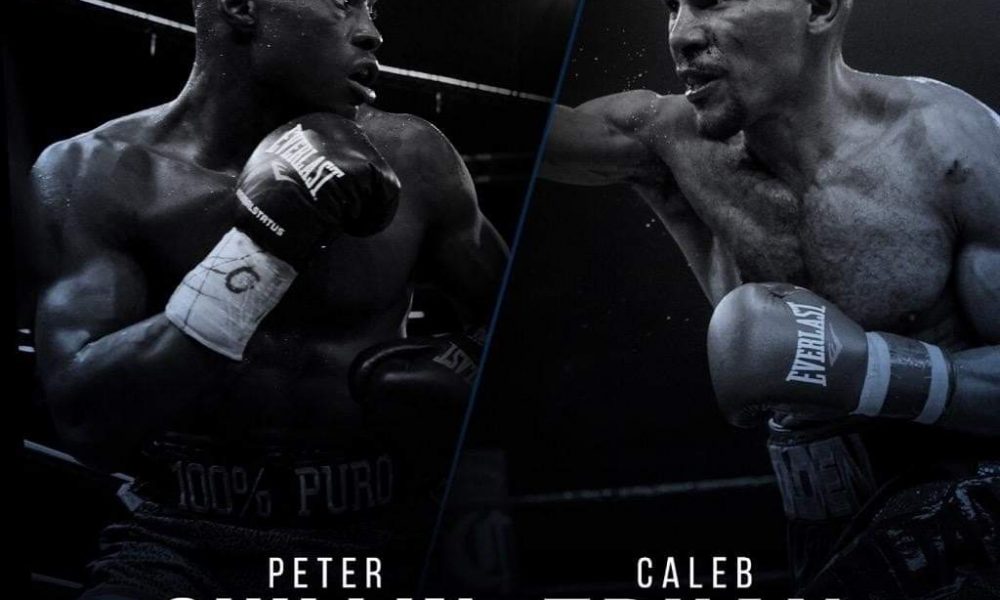 upcoming fights