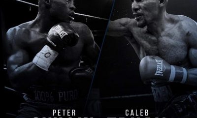 upcoming fights