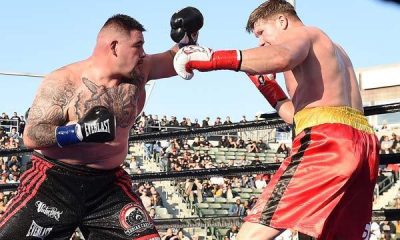 Joshua vs Ruiz?