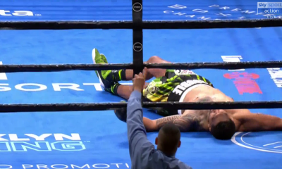 Wilder Knocks Out Breazeale