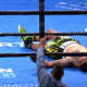 Wilder Knocks Out Breazeale