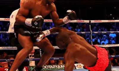 The-Heavyweight-Scene