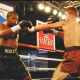Avila-Perspective-Chap-71-Canelo-Berchelt-Nevada-Hall-of-Fame-and-More