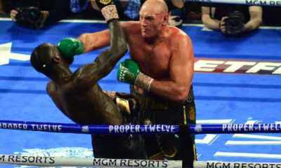 The-Hauser-Report-Wilder-Fury-II-in-Perspective