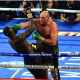 The-Hauser-Report-Wilder-Fury-II-in-Perspective