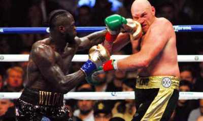 Avila-Perspective-Chap-86-Heavyweight-Impact-Thompson-Boxing-and-More