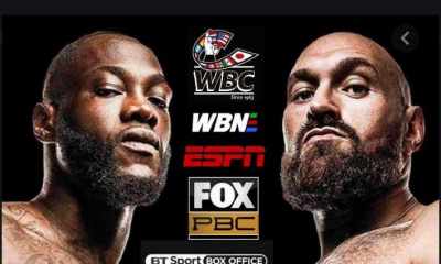 Wilder-Fury-2-Points-to-Ponder
