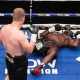 The-Hauser-Report-Fight-Camp-Ends-With-a-Bang