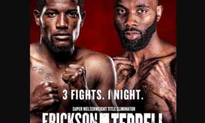 Avila-Perspective-Chap-105-Angry-Welterweights-and-More.jpg