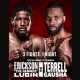 Avila-Perspective-Chap-105-Angry-Welterweights-and-More.jpg