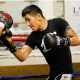 Will-Leo-Santa-Cruz's-High-Volume-Punching-Stymie-Big-Hitter-Tank-Davis?