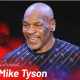 Boxing-Exhibitions-Side-Show-New-Angle-or-Something-Else
