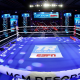 Top-Rank-is-the-TSS-2020-Promoter-of-the-Year