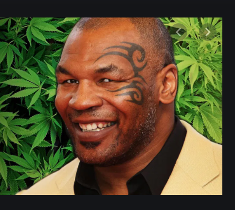 It's-Time-to-Weed-Out-Unfair-Penalties-in-Combat-Sports