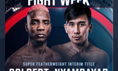 Avila-Perspective-Chap-140-Colbert-vs-Nyambayar-and-Other-LA-Fights