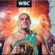 Boxing-Scribes-Take-to-Twitter-to-Celebrate-the-Fury-Wilder-Fight