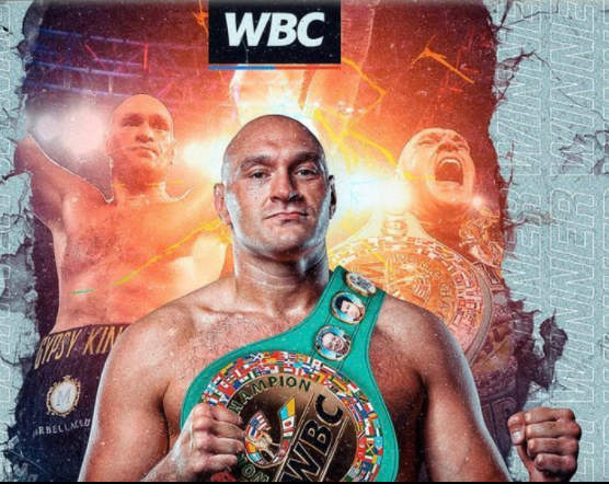 Boxing-Scribes-Take-to-Twitter-to-Celebrate-the-Fury-Wilder-Fight