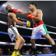 Weekend-Boxing-Notebook-Zepeda-and-Ennis-Turn-Heads-With-Quick-KOs