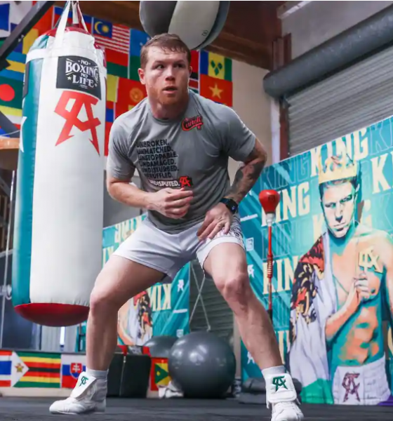 Avila-Perspective-Chap-185-Cinco-de-Canelo-in-Las-Vegas