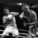 Avila-Perspective-Chap-221-El-Maestro-and-More-Boxing-News-and-Notes