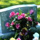 For-Whom-the-Bell-Tolled-2022-Boxing-Obituaries-PART-TWO-July-Dec
