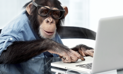 The-Hauser-Report-Boxing-and-Artificial-Intelligence