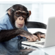 The-Hauser-Report-Boxing-and-Artificial-Intelligence