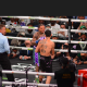 Avila-Perspective-Chap-235-Las-Vegas-Aftermath-