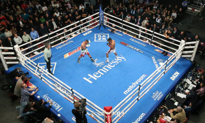 The-Hauser-Report-The-DAZN-Experiment
