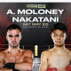 Two-Fascinating-Tussles-Gird-Saturday's-Lomachenko-Haney-Showdown