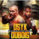 Joshua-Helenius-May-Be-a-Dud-but-Heavyweight-Boxing-is-in-a-Very-Perky-Phase