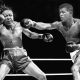 International-Brotherhood-of-Prizefighters-Rankings-Week-Ending-September-17,-2023.jpg