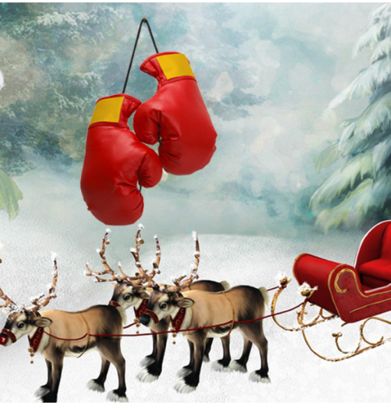 Holiday-Reading-2023-Best-Books-About-Boxng