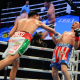 Diego-Pacheco-Wins-Homecoming-Fight-by-Knockout-in-LA