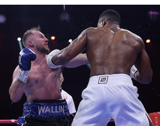 Riyadh-Part-2-Bivol-Wins-Parker-Upsets-Wilder-and-Joshua-Closes-the-Show